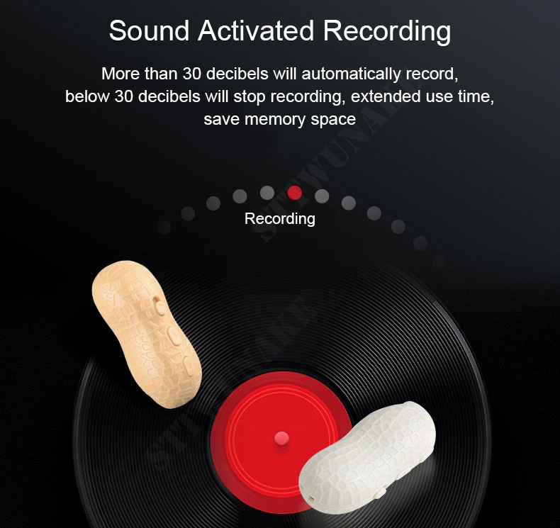 Mini enregistreur vocal - appareil d'enregistrement audio espion activé par  la voix VOX - Peanut (mémoire de 16 Go)
