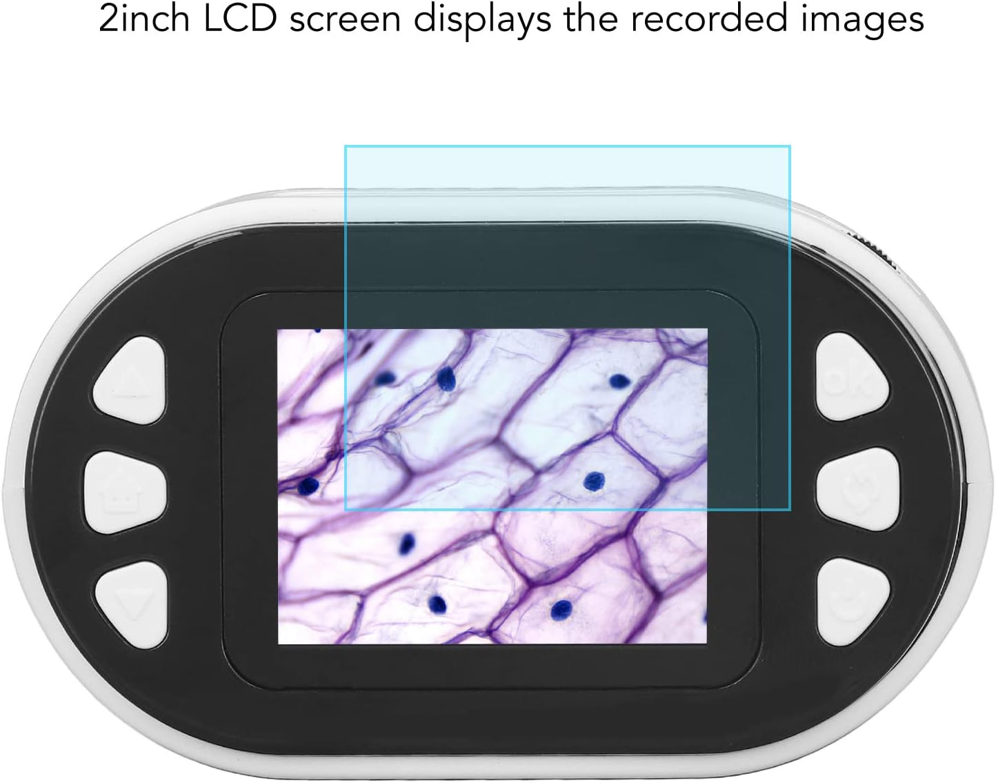 microscope numérique et télescope avec écran pour PC