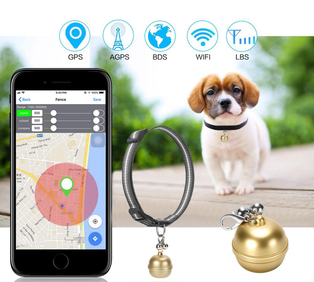 Acheter Traceur GPS pour chiens, étanche IP67, suivi des animaux